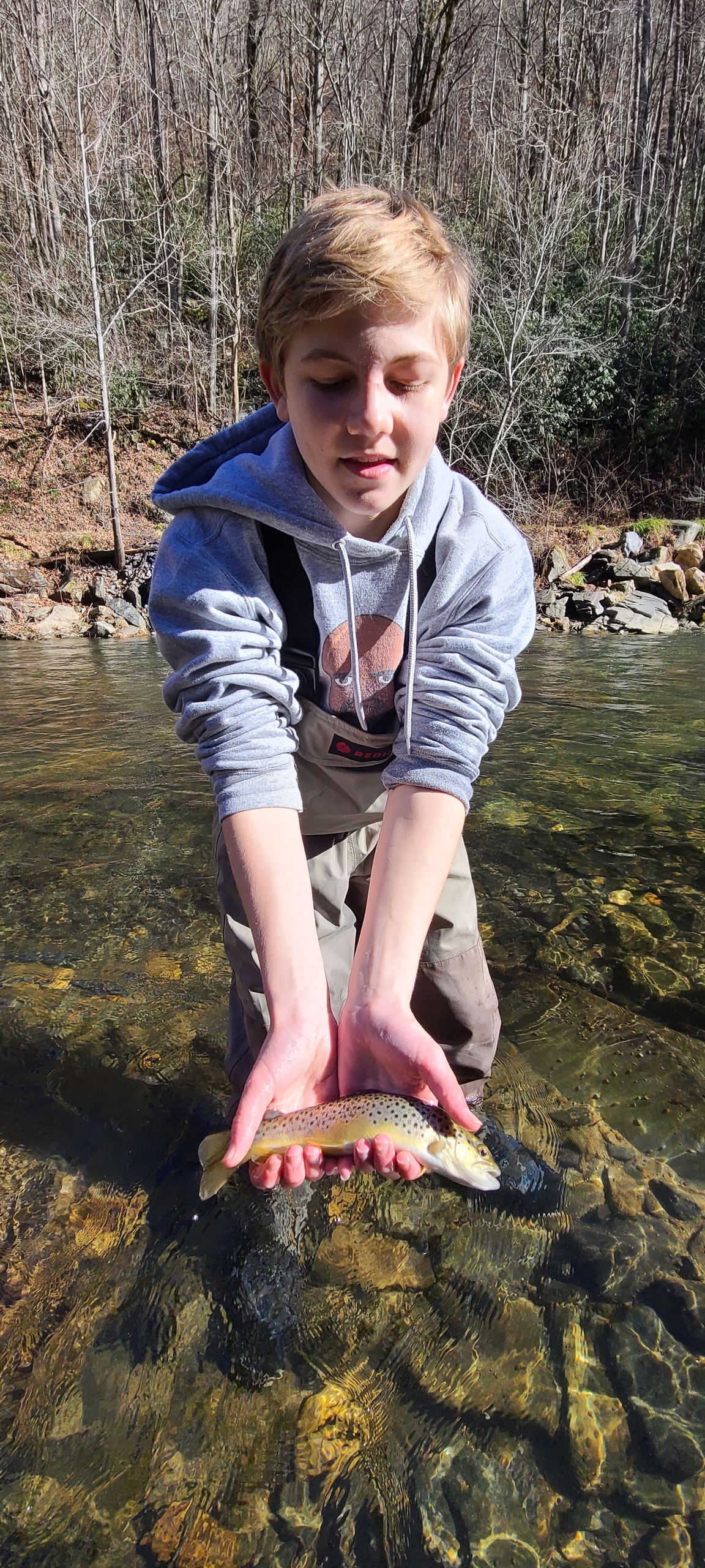 brown trout fly fishing guide trip in clayton, ga