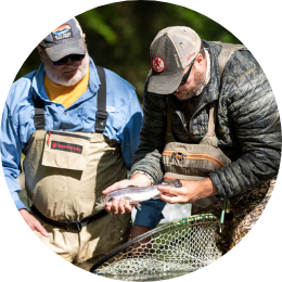 fly-fishing-guide Fly Fishing for Brown Trout | Maggie Valley, NC