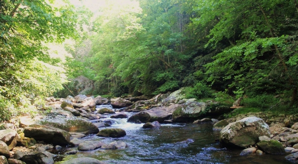 Most Scenic Fly Fishing in Western NC - Cullasaja River